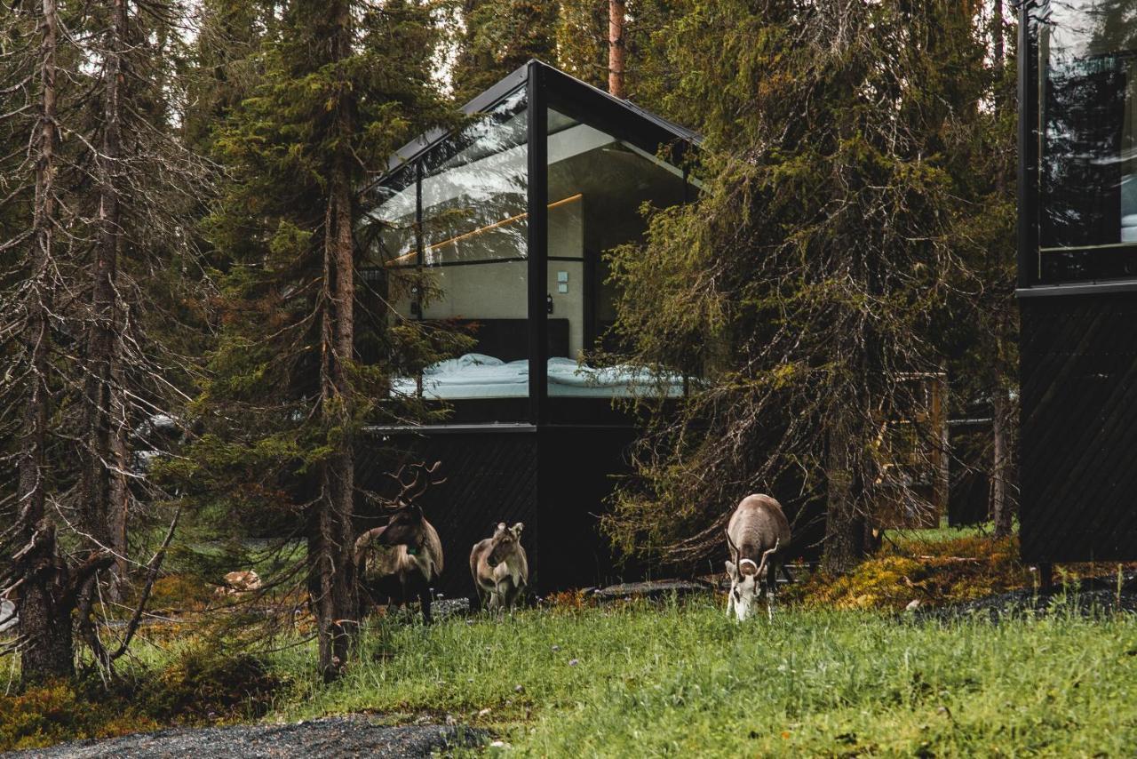 Magical Pond Nature Igloos Ruka Exterior photo