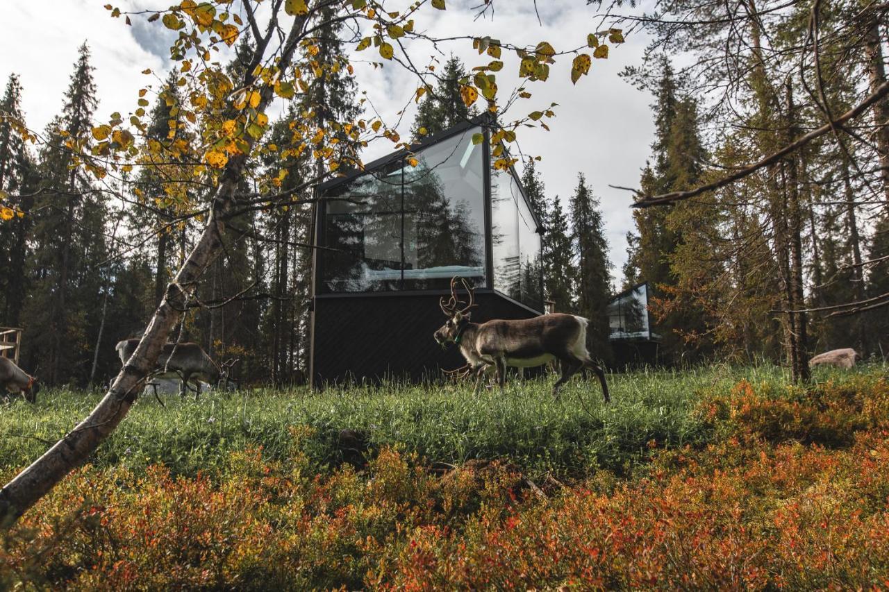 Magical Pond Nature Igloos Ruka Exterior photo